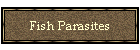 Fish Parasites