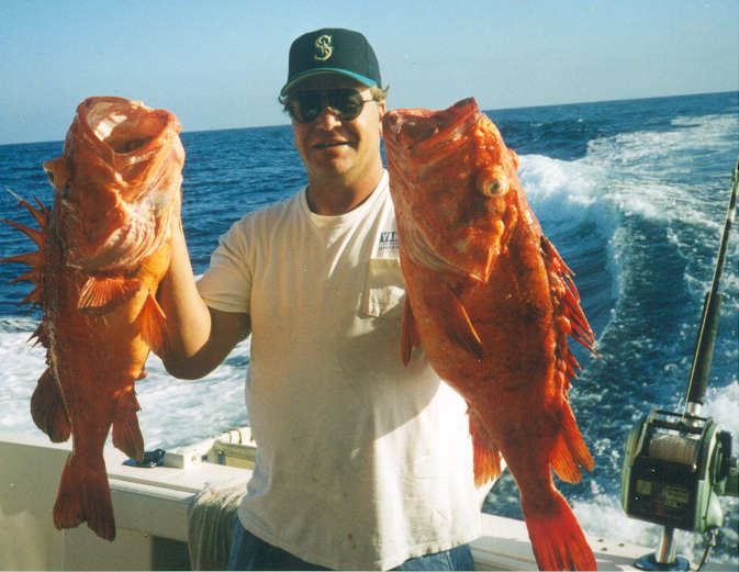 Deep Water Rockfish